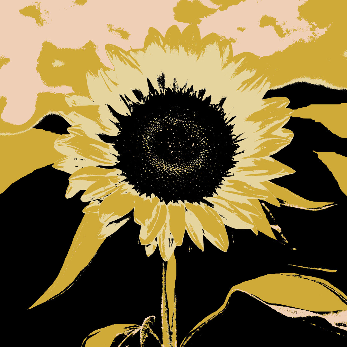 August Grove Pop Art Sunflower IV by Jacob Green - Wrapped Canvas ...